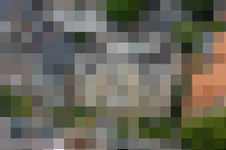 Helper Brink 8 d Groningen thumbnail 37