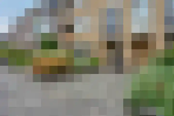 Helper Brink 8 d Groningen thumbnail 7