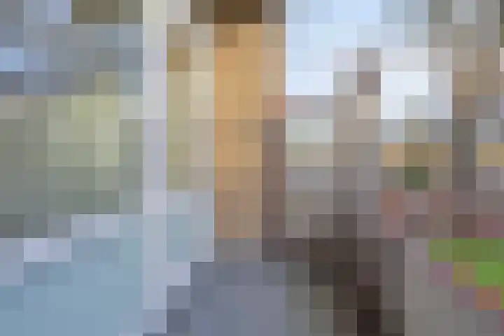 Helper Brink 85 Groningen thumbnail 24