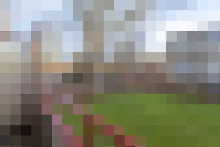 Helper Brink 85 Groningen thumbnail 25