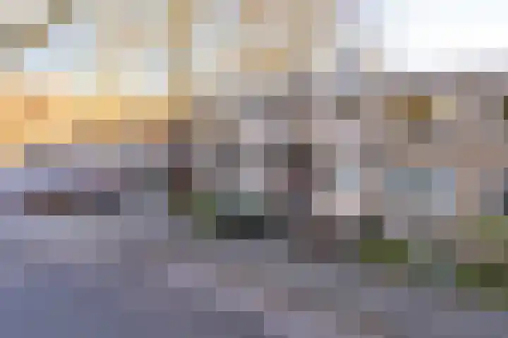 Helper Brink 85 Groningen thumbnail 32