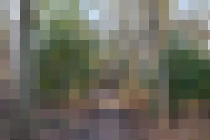 Helper Brink 85 Groningen thumbnail 38
