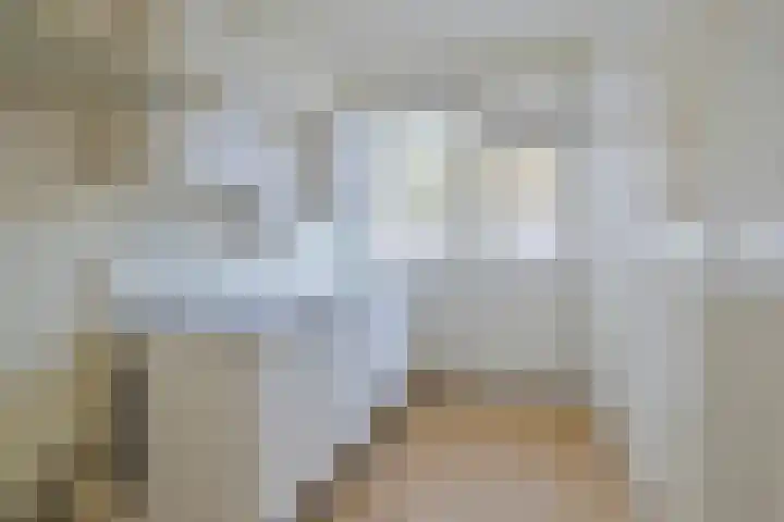 Helper Brink 85 Groningen thumbnail 4