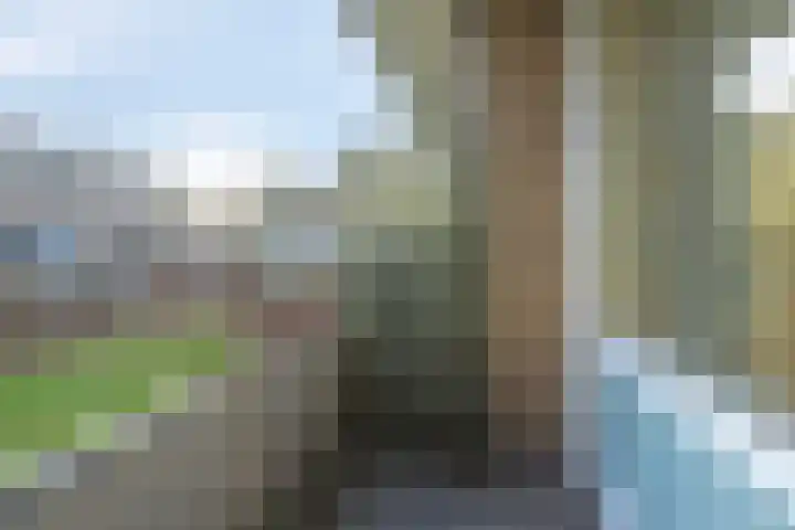 Helper Brink 85 Groningen thumbnail 5