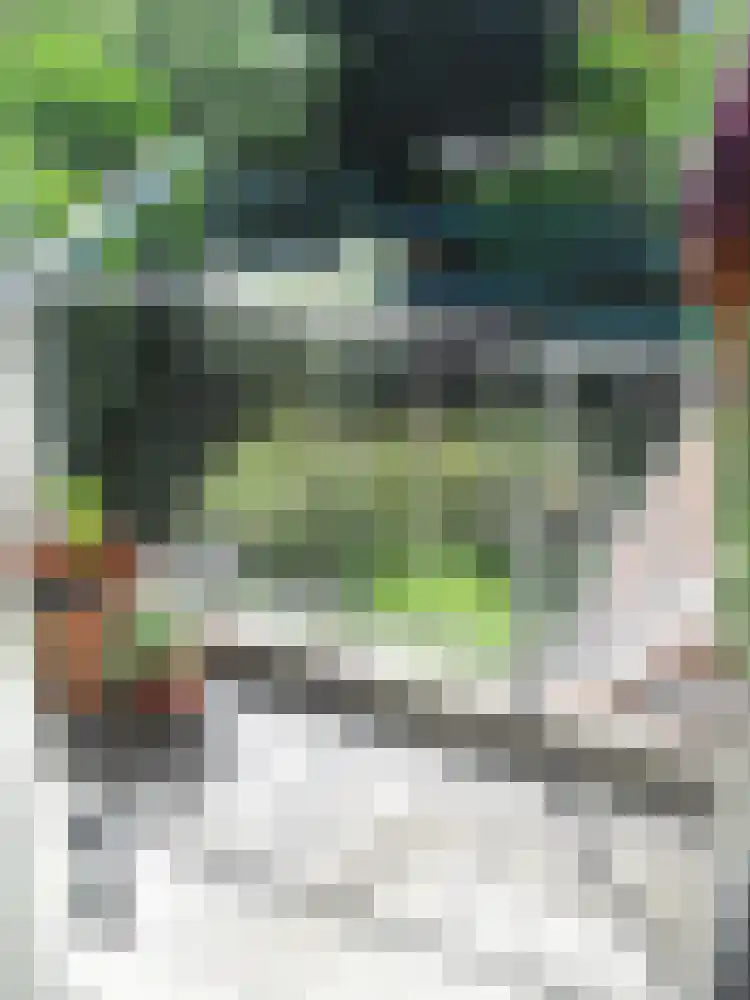 Helper Brink Groningen thumbnail 5