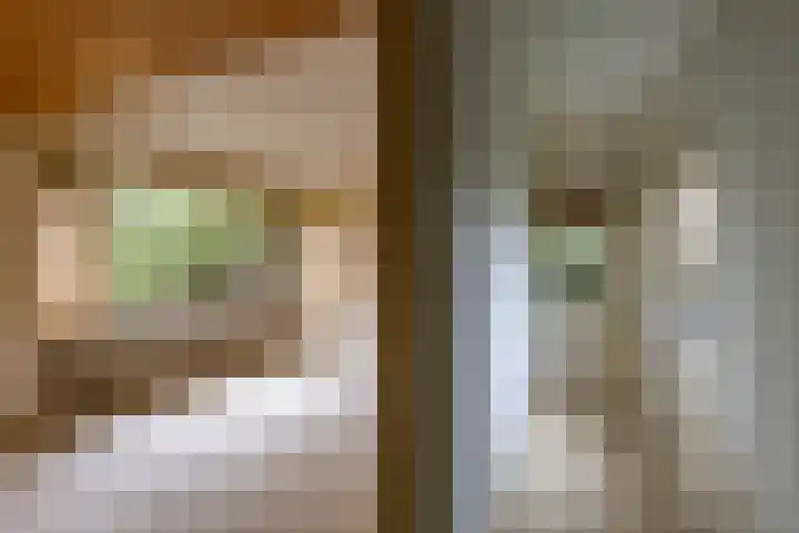 Helper Esweg 14 Groningen thumbnail 12