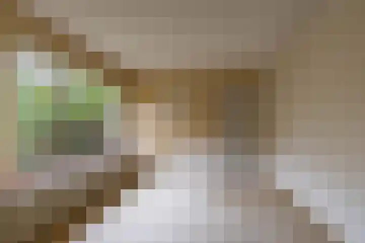 Helper Esweg 14 Groningen thumbnail 13