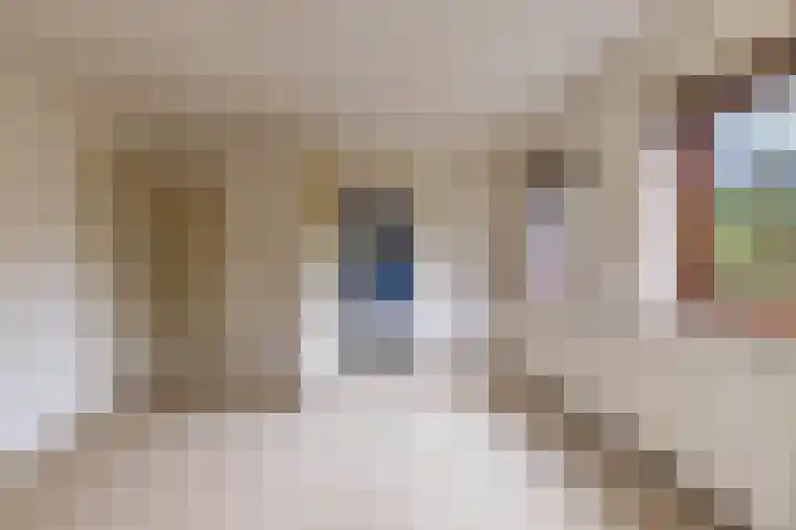 Helper Esweg 14 Groningen thumbnail 20
