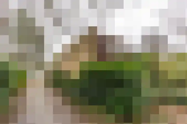 Helper Esweg 14 Groningen thumbnail 23