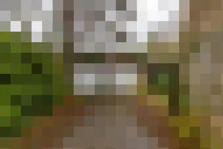 Helper Esweg 14 Groningen thumbnail 24