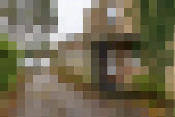 Helper Esweg 14 Groningen thumbnail 4