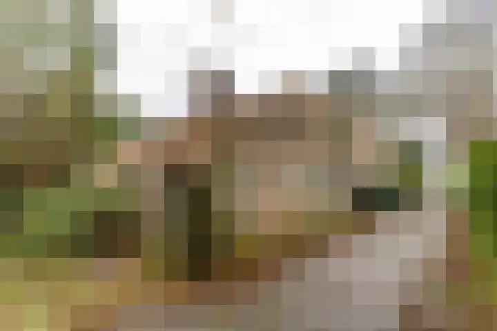 Helper Esweg 14 Groningen thumbnail 5