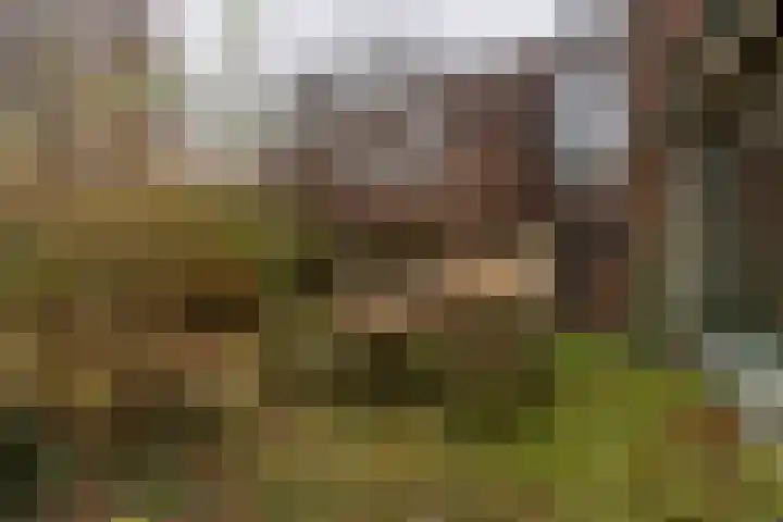 Helper Esweg 14 Groningen thumbnail 6