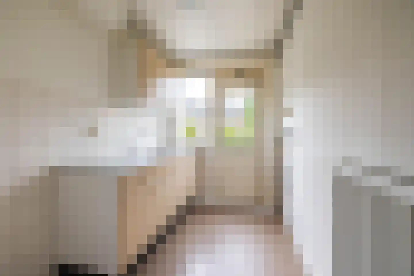 Helper Kerkstraat 34 b Groningen thumbnail 9