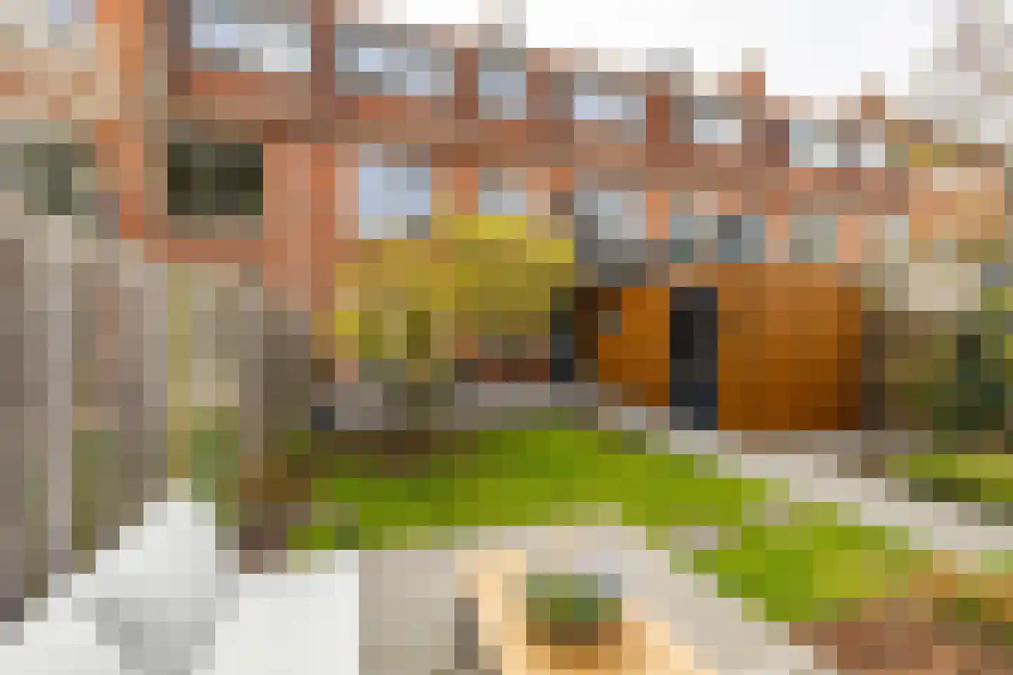 Helper Kerkstraat 38 in Groningen