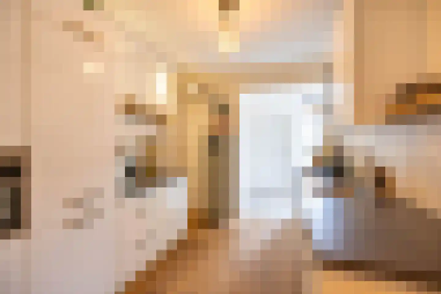 Helper Kerkstraat 38 Groningen thumbnail 21