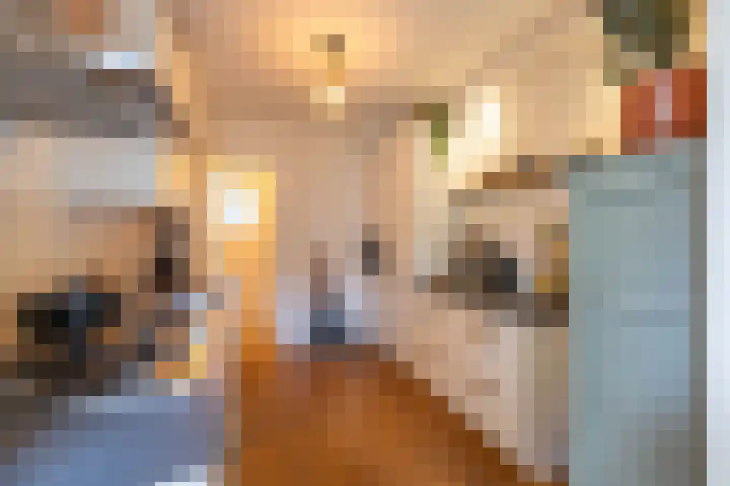 Helper Kerkstraat 38 Groningen thumbnail 22