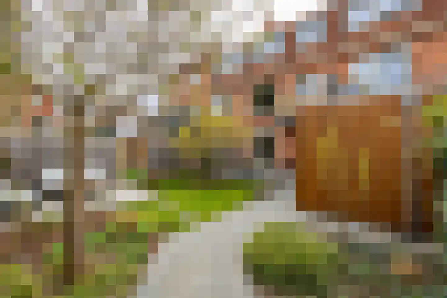 Helper Kerkstraat 38 Groningen thumbnail 37