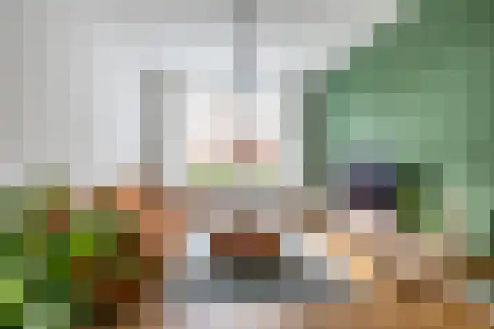 Helper Kerkstraat 44 Groningen thumbnail 12
