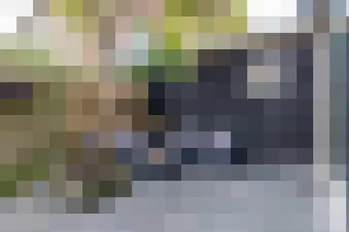 Helper Kerkstraat 44 Groningen thumbnail 24