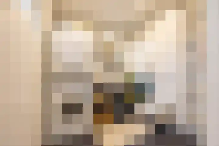 Helper Kerkstraat 44 Groningen thumbnail 26