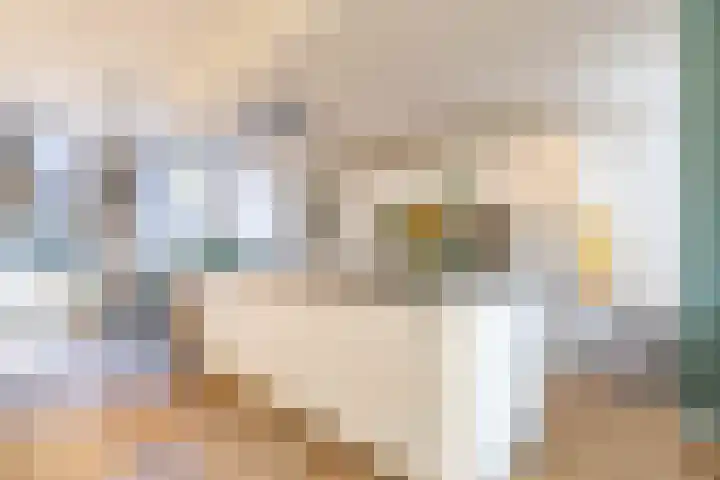 Helper Kerkstraat 6 Groningen thumbnail 12
