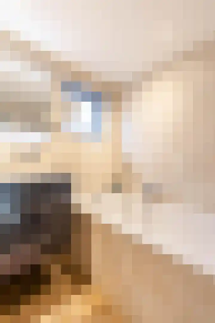 Helper Kerkstraat 6 Groningen thumbnail 31
