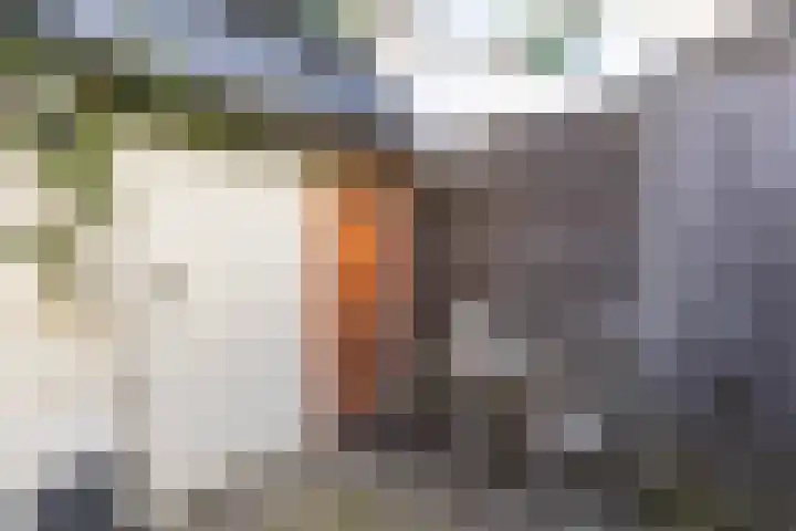 Helper Kerkstraat 6 Groningen thumbnail 40