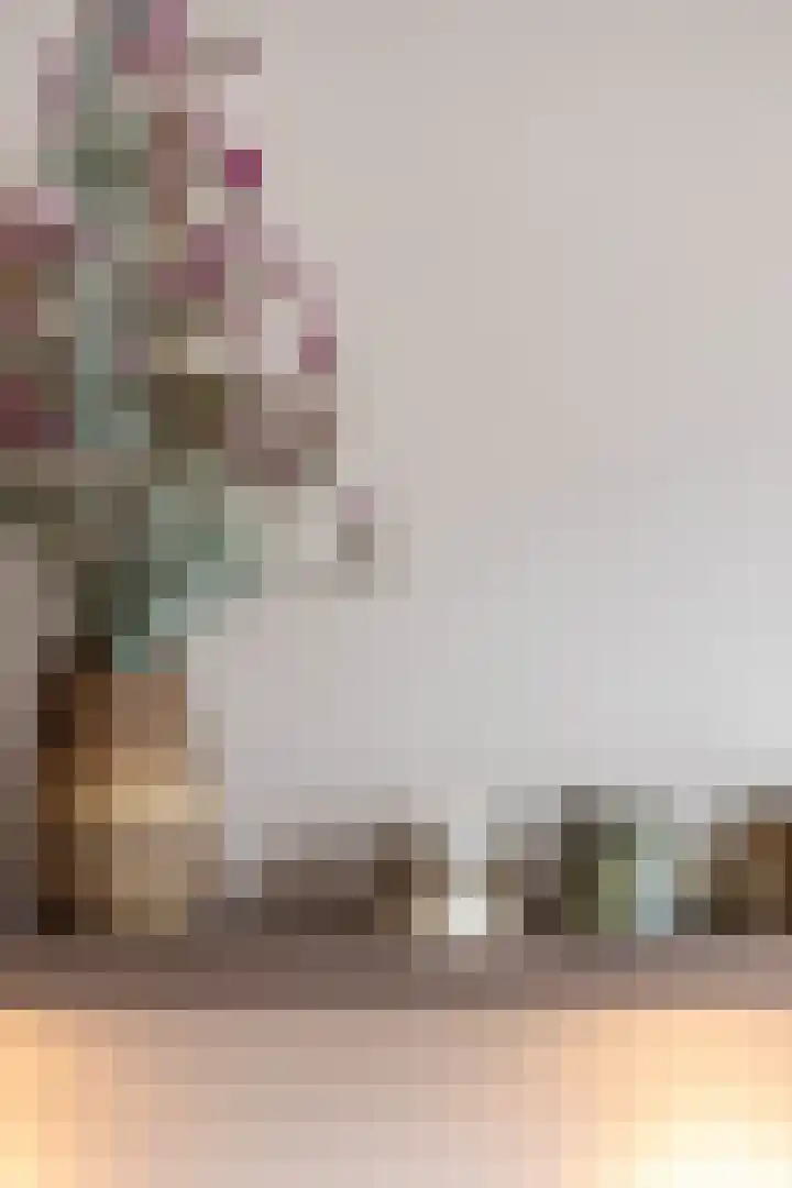 Helper Molenstraat 4 d Groningen thumbnail 14