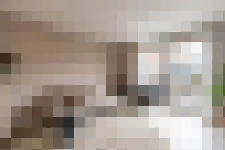 Helper Molenstraat 4 d Groningen thumbnail 21