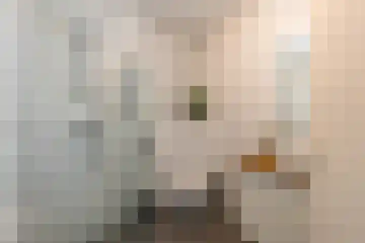 Helper Molenstraat 4 d Groningen thumbnail 37