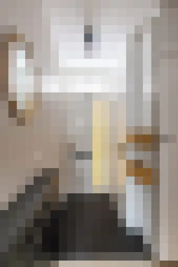 Helper Molenstraat 4 d Groningen thumbnail 8
