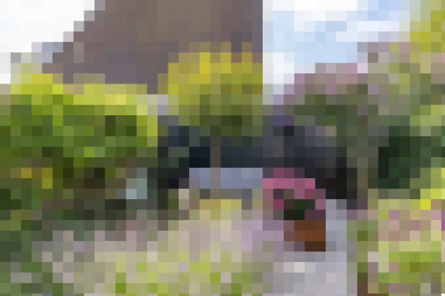 Helper Molenstraat 8 e Groningen thumbnail 16