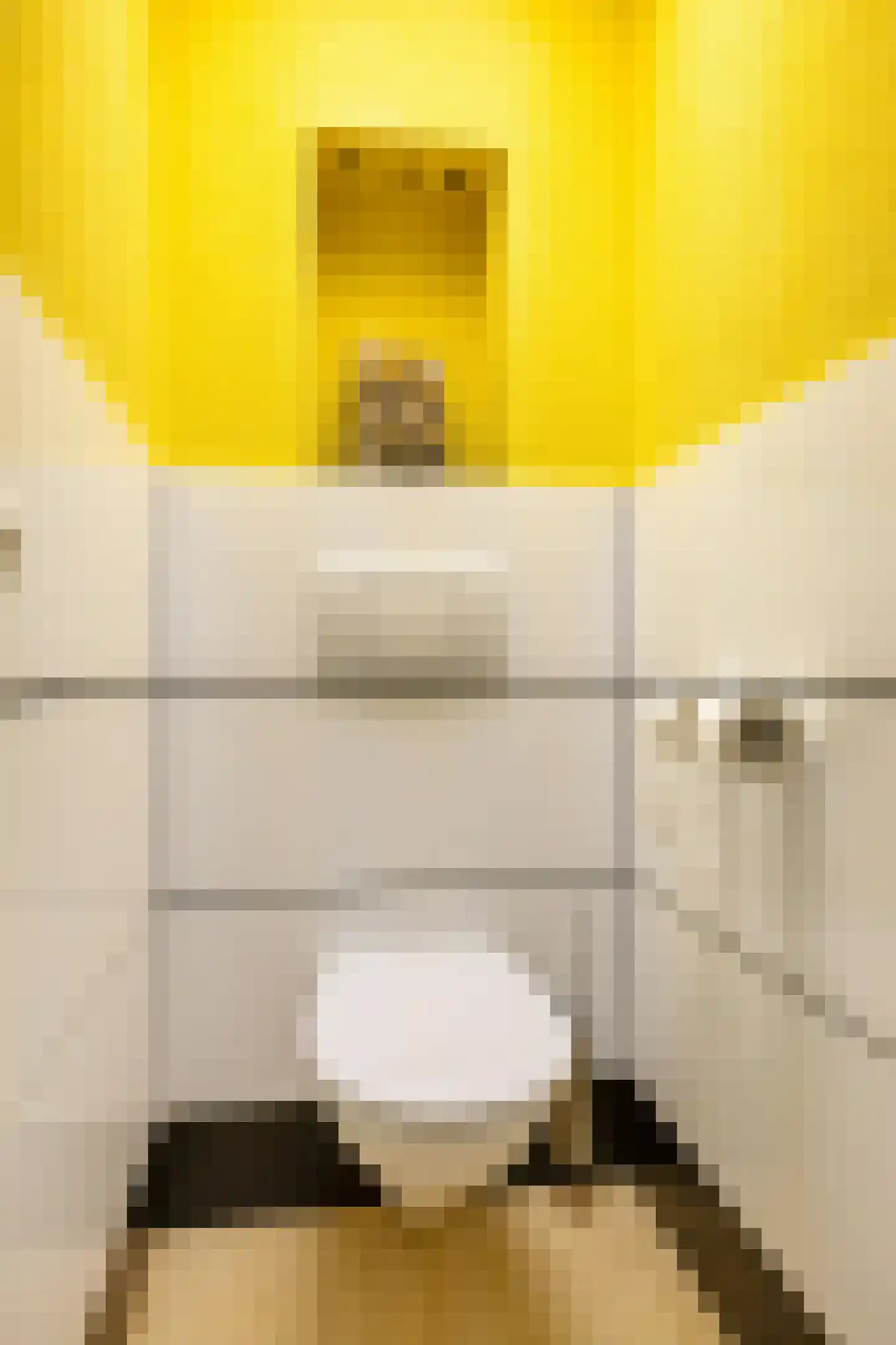 Helper Oostsingel 22 Groningen thumbnail 33