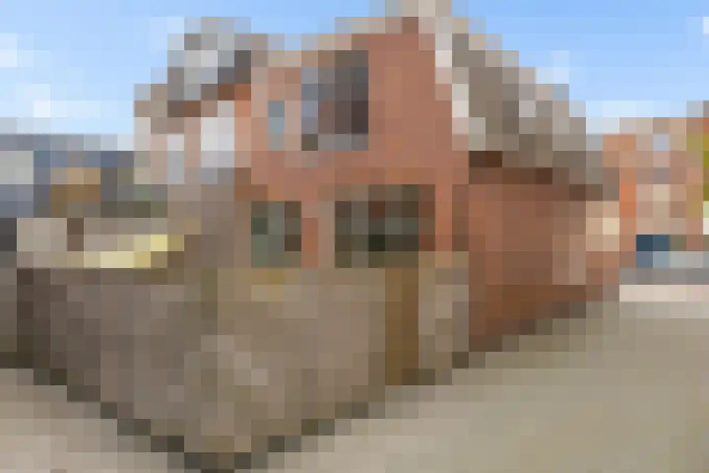 Helper Oostsingel 22 Groningen thumbnail 40
