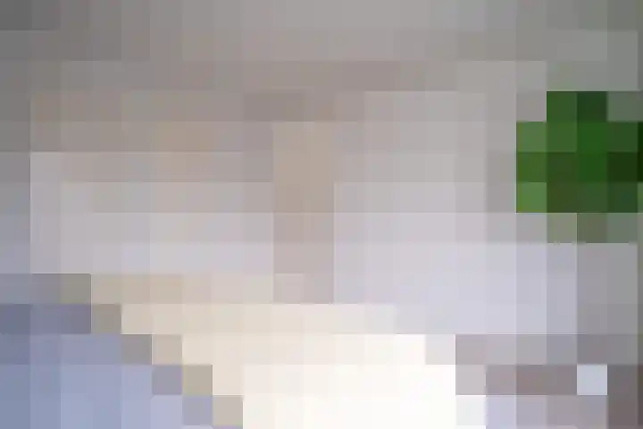 Helper Oostsingel 26 Groningen thumbnail 33