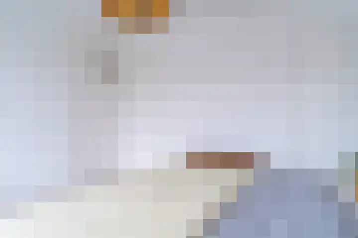 Helper Oostsingel 26 Groningen thumbnail 38