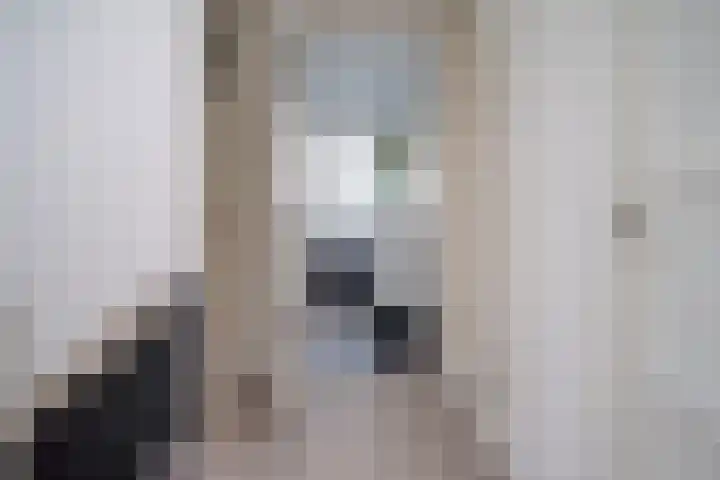 Helper Oostsingel 26 Groningen thumbnail 39