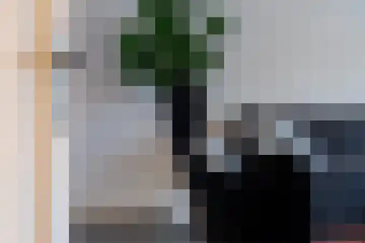 Helper Oostsingel 26 Groningen thumbnail 8