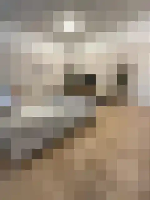 Helper Oostsingel 28 Groningen thumbnail 4