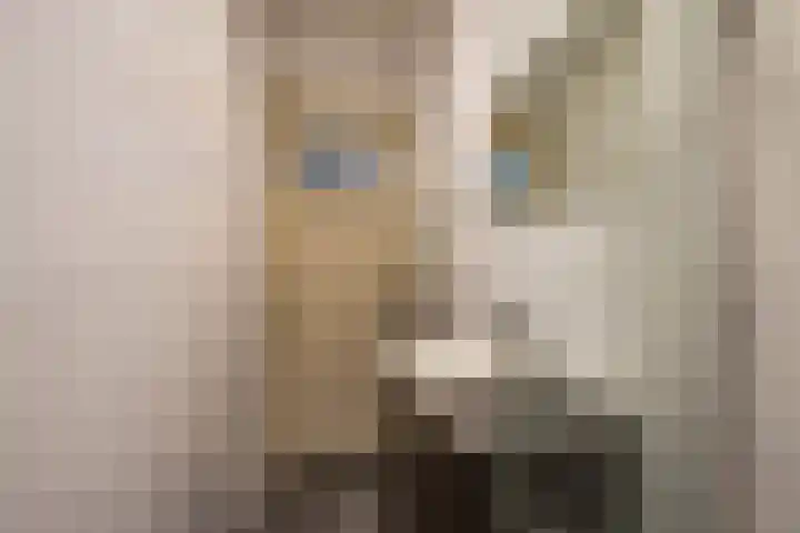 Helper Oostsingel 38 1a Groningen thumbnail 28