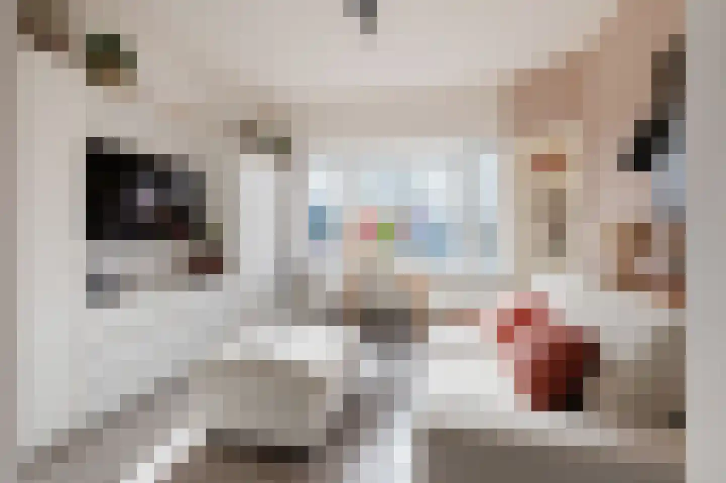 Helper Oostsingel 38 1c Groningen thumbnail 6