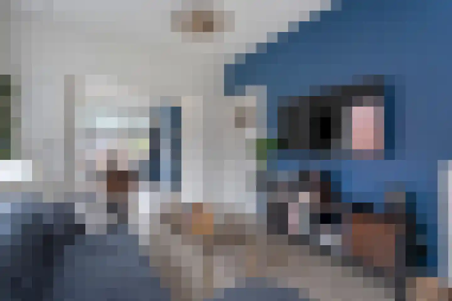 Helper Oostsingel 40 a Groningen thumbnail 10