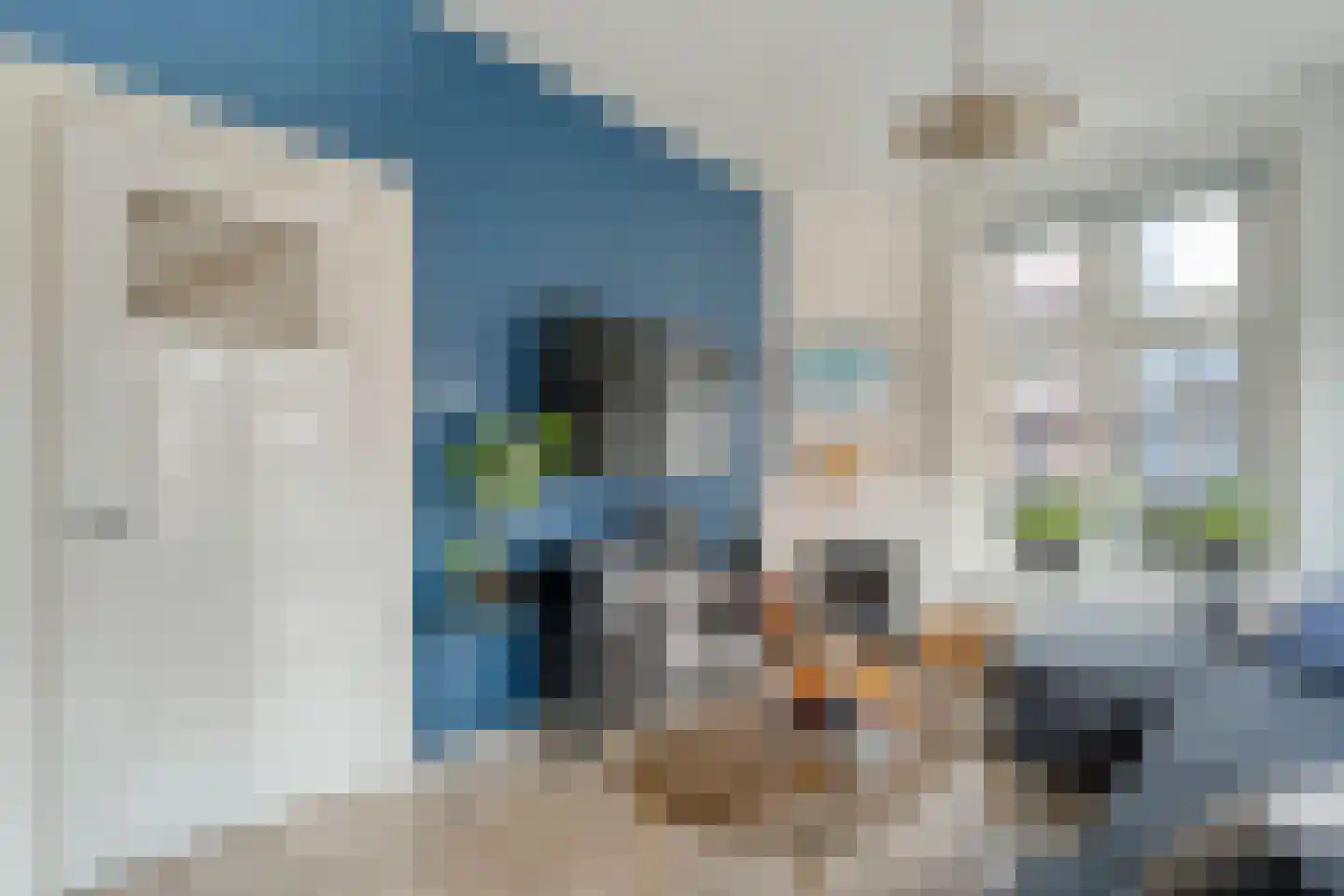 Helper Oostsingel 40 a Groningen thumbnail 15