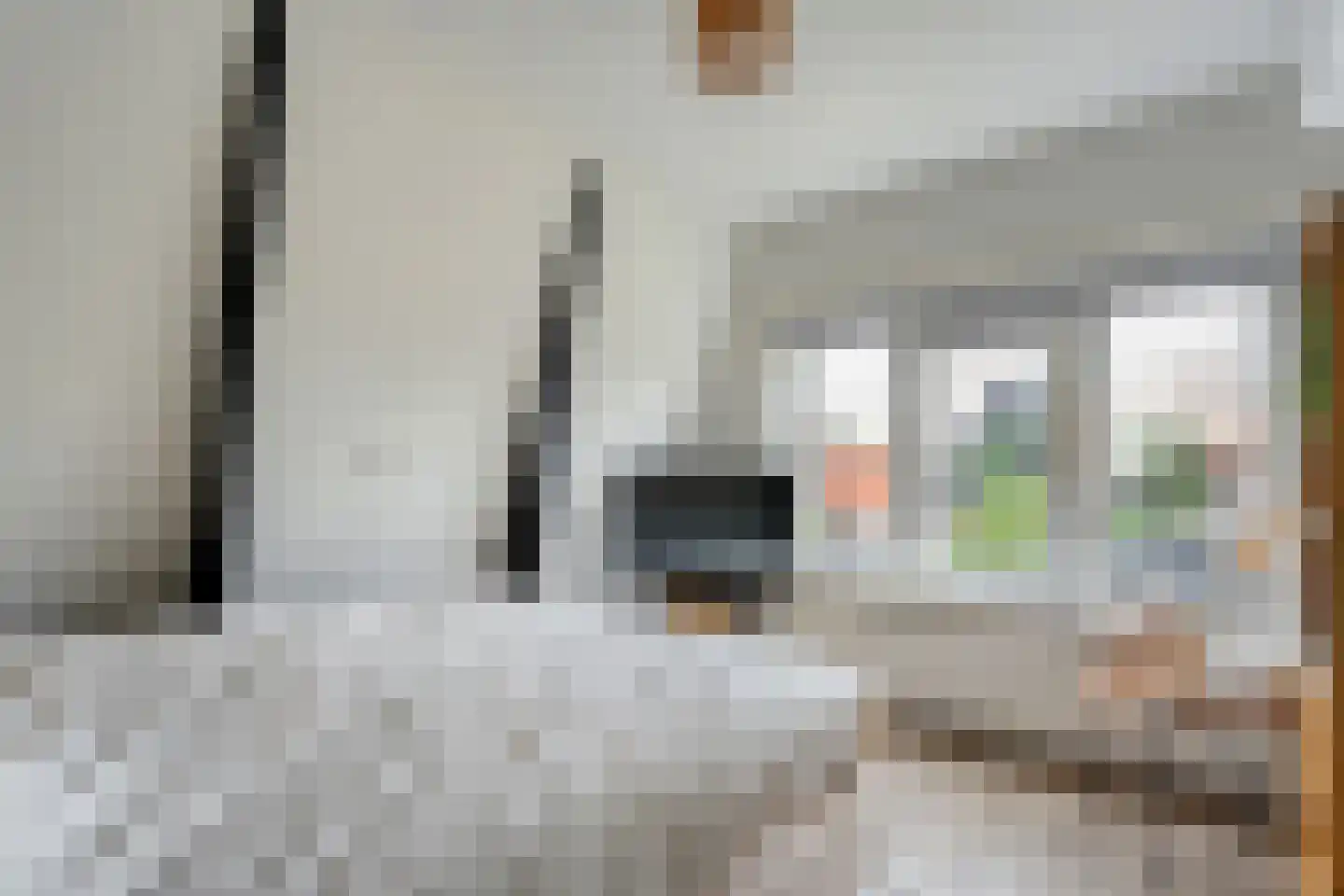 Helper Oostsingel 40 a Groningen thumbnail 22