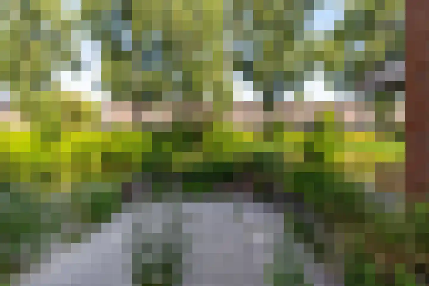 Helper Oostsingel 42 f Groningen thumbnail 23