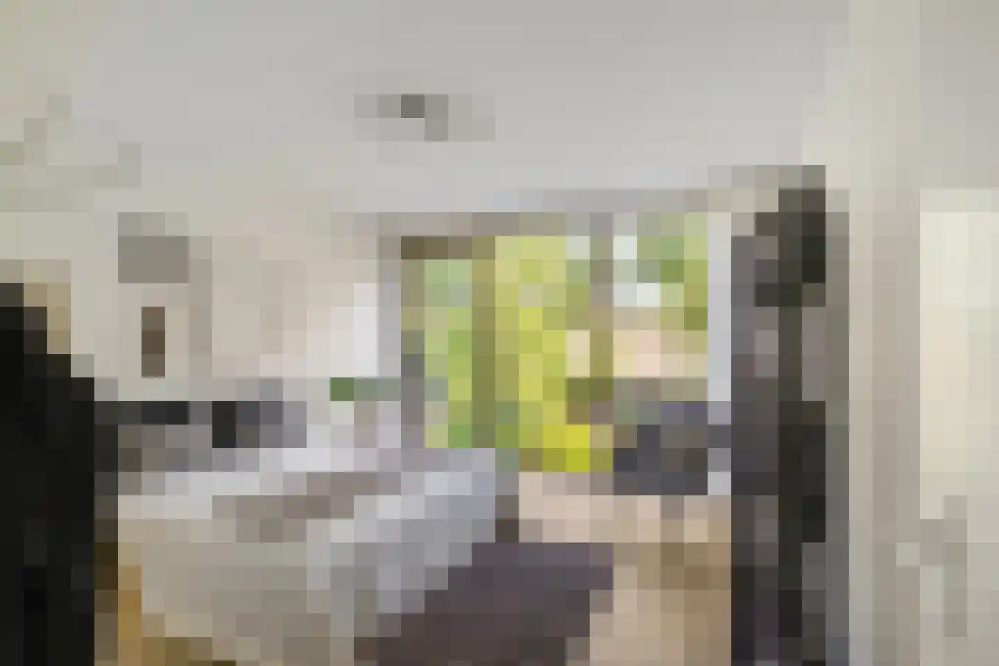 Helper Oostsingel 42 f Groningen thumbnail 4