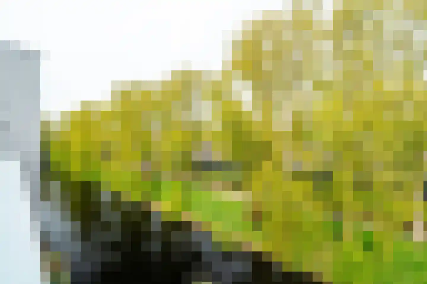 Helper Oostsingel 54 14 Groningen thumbnail 38
