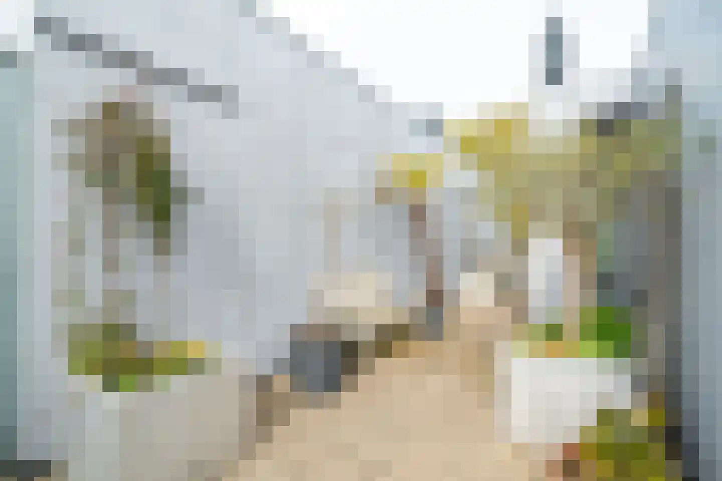 Helper Oostsingel 54 14 Groningen thumbnail 39