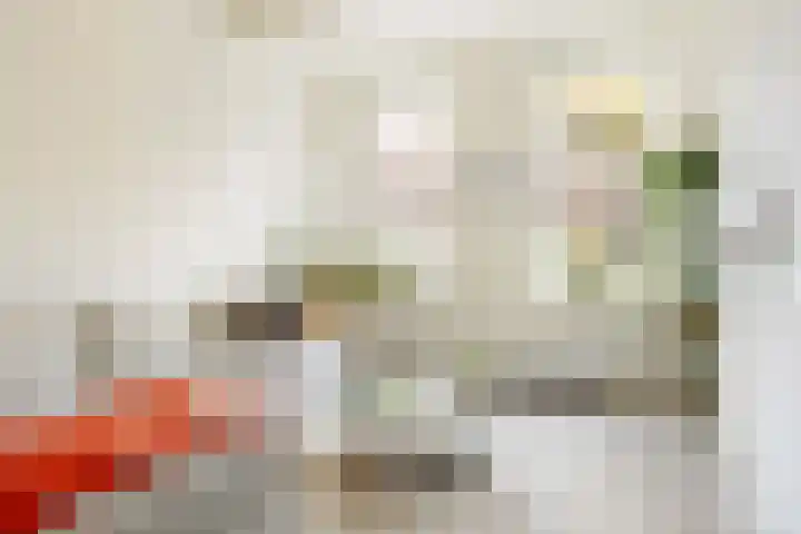 Helper Oostsingel 67 Groningen thumbnail 17
